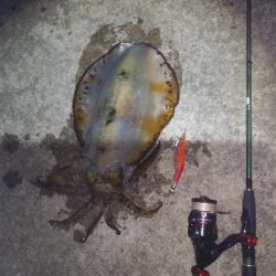 久々のキロup！