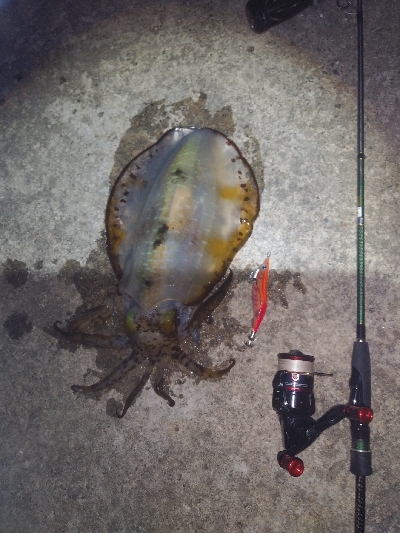 久々のキロup！