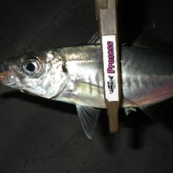 爆風でしたけど・・・