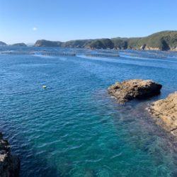 大島ランガンエギング！