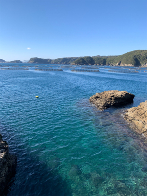 大島ランガンエギング！