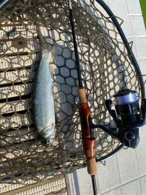 春の陽気の中、エリアトラウト