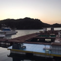 おさかな村は本当におさかな村だった^_^