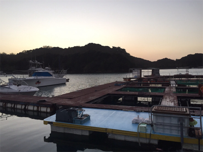 おさかな村は本当におさかな村だった^_^