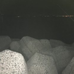 寒いなか探り釣り