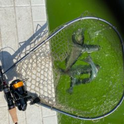 服部緑地 午後 TVの取材が・・・。