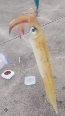 劇渋ヤリイカ！