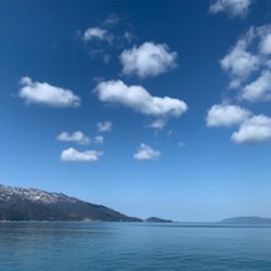 生命反応は僅か