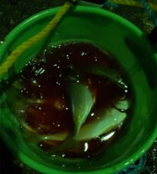 見えてはいるが、、