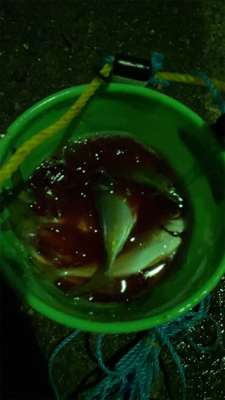 見えてはいるが、、