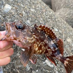 穴釣りサイコー!