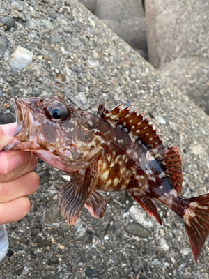 穴釣りサイコー!