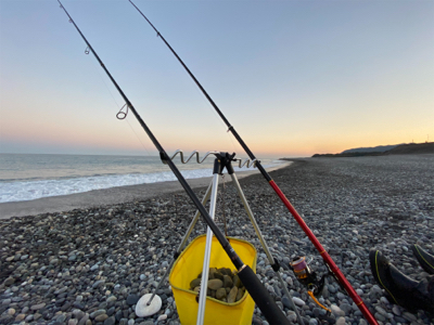 泳がせでヒラスズキ!