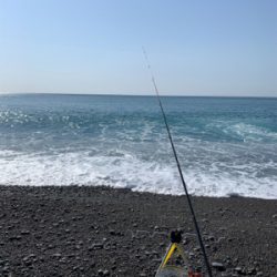 絶好の釣り日和