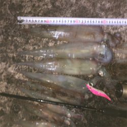 2021 佐渡ヶ島ヤリイカエギング