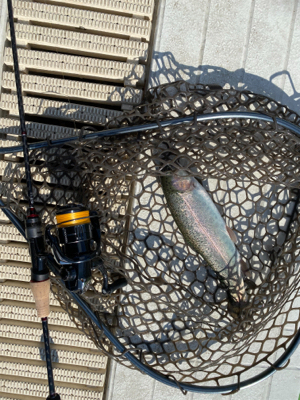 服部緑地　プールトラウト