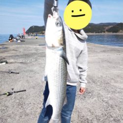 ボラの引っ掛け大会