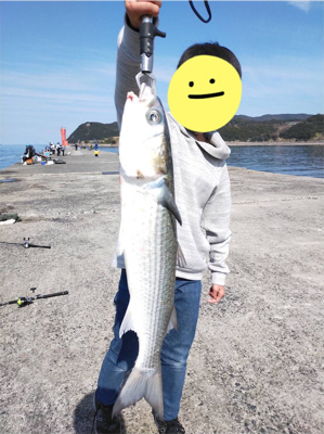 ボラの引っ掛け大会