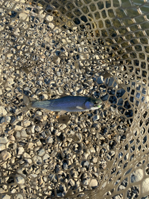 加賀フィシングエリア