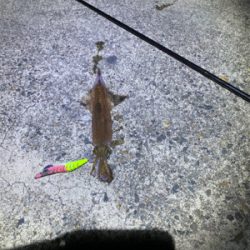 会社の上司と初めての釣り