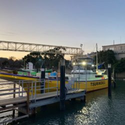 つり幸　LTアジ