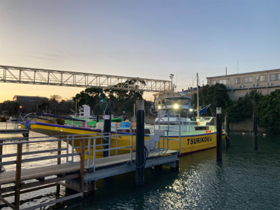 つり幸　LTアジ