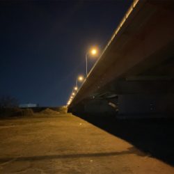 またまたまたハクレン