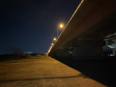 またまたまたハクレン