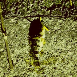 まだ春は遠い？