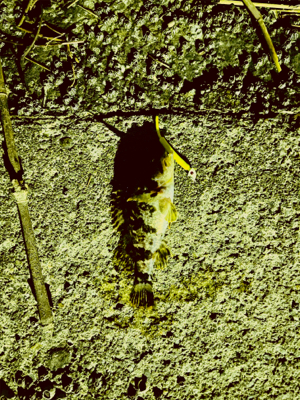 まだ春は遠い？