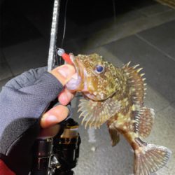 ガシラマンション探し