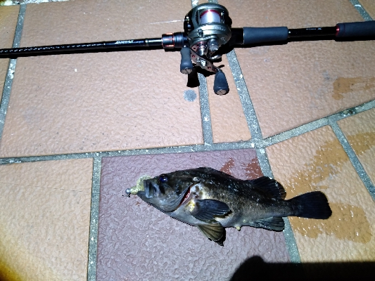 爆風の中なんとか1匹