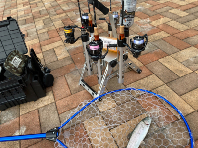 服部緑地　そろそろ数釣りには水温限界かも