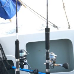 ジギングリベンジ