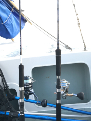 ジギングリベンジ