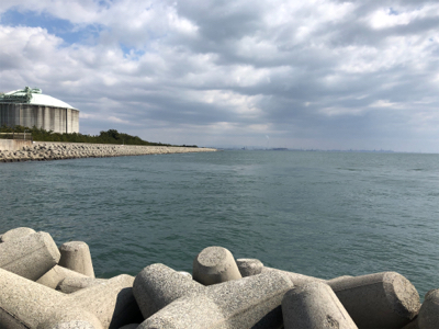 久しぶりにメジロ