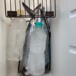 暴風ショアジギ