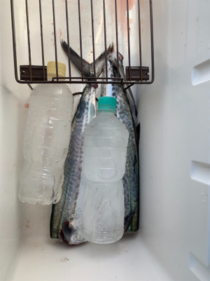 暴風ショアジギ