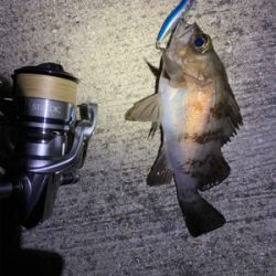 テスト明けの至福タイム