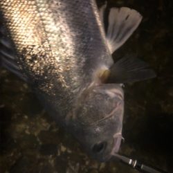 怒涛の3連続ヒット！