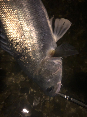 怒涛の3連続ヒット！