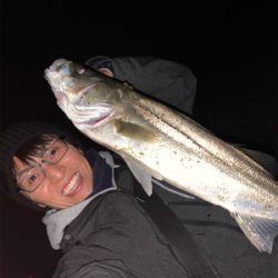 荒川上流域 シーバス