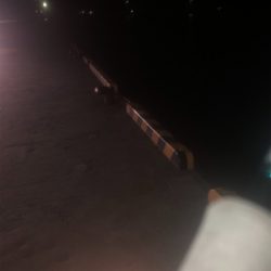 エギング 初ミミイカ