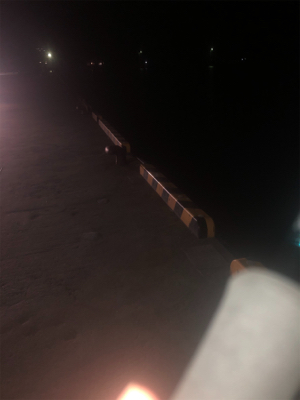 エギング 初ミミイカ