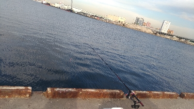 エビ撒きで初めてのハネ！