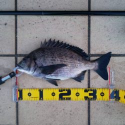 朝練　～さざなみ公園～