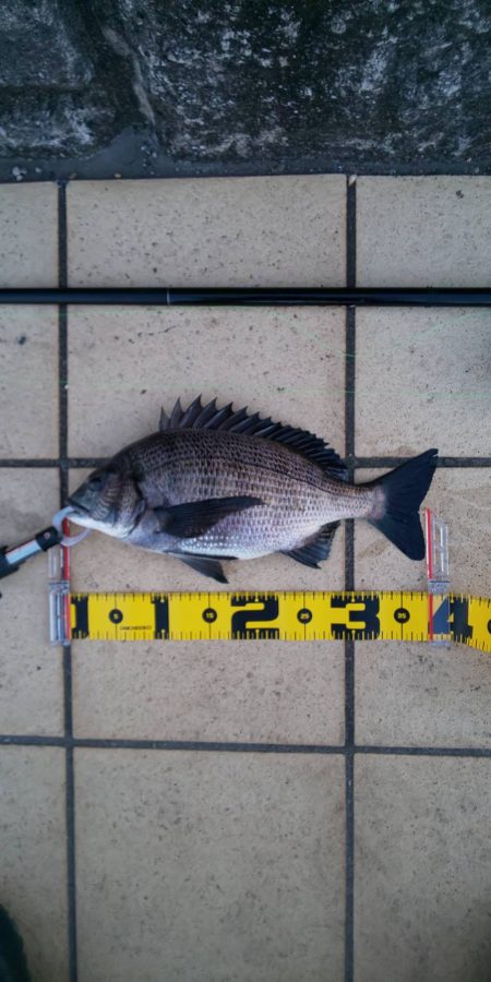 朝練　～さざなみ公園～