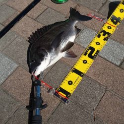 干潮前に　～さざなみ公園～