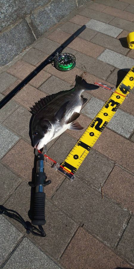 干潮前に　～さざなみ公園～