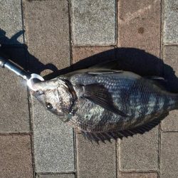 リベンジ　～さざなみ公園～